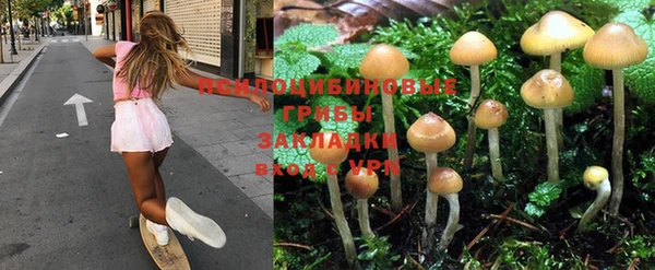 синтетический гашиш Переславль-Залесский